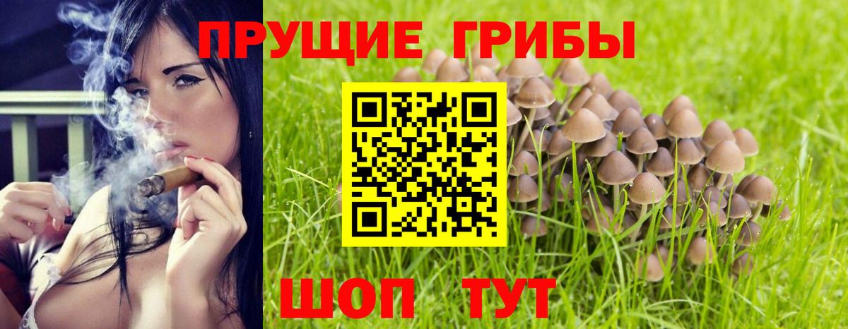 Псилоцибиновые грибы мухоморы Краснодар