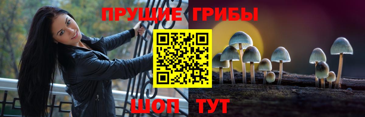 Краснодар  Псилоцибиновые грибы мухоморы  Вход с VPN 